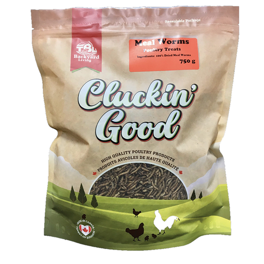 Cluckin Good Mealworms