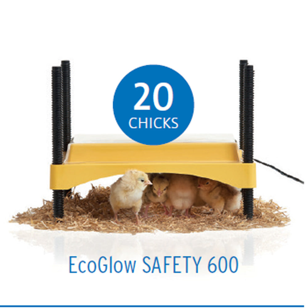 EcoGlow 600 Chick Brooder