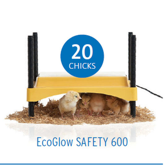 EcoGlow 600 Chick Brooder