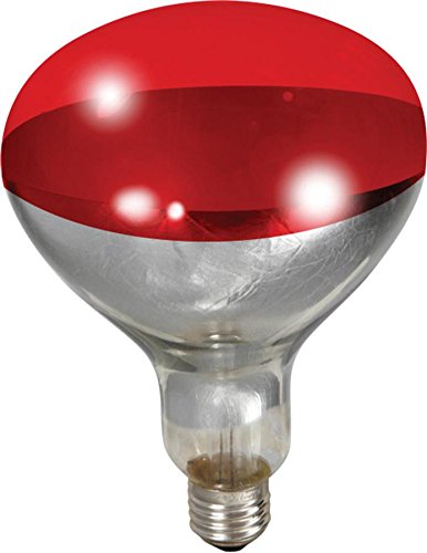 Red Heat Bulb