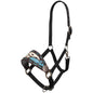 Painted Quill Bronc Halter