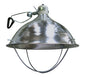 Heat Lamp w/Aluminum Shade