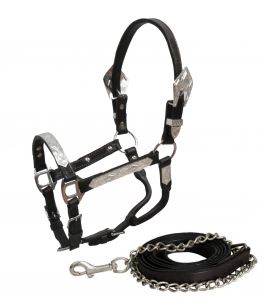 Pony Show Halter