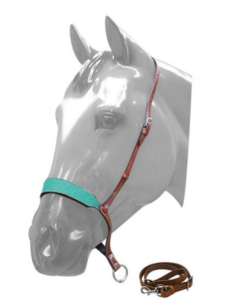 Teal Glitter Tie Down