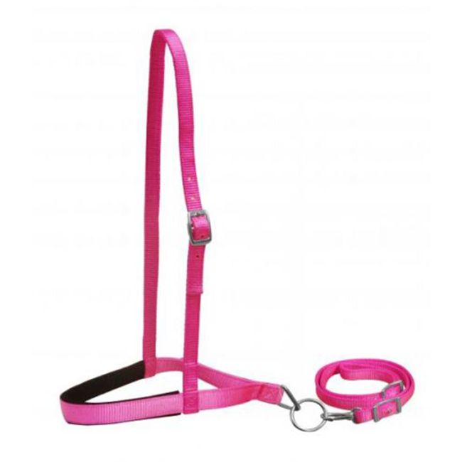 Nylon Tie Down- Pony