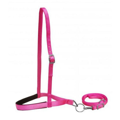 Nylon Tie Down- Pony