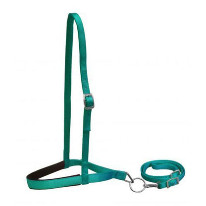 Nylon Tie Down- Pony
