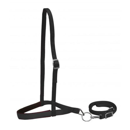 Nylon Tie Down-Horse