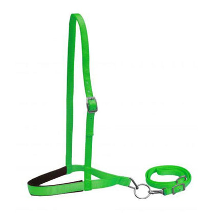 Nylon Tie Down-Horse