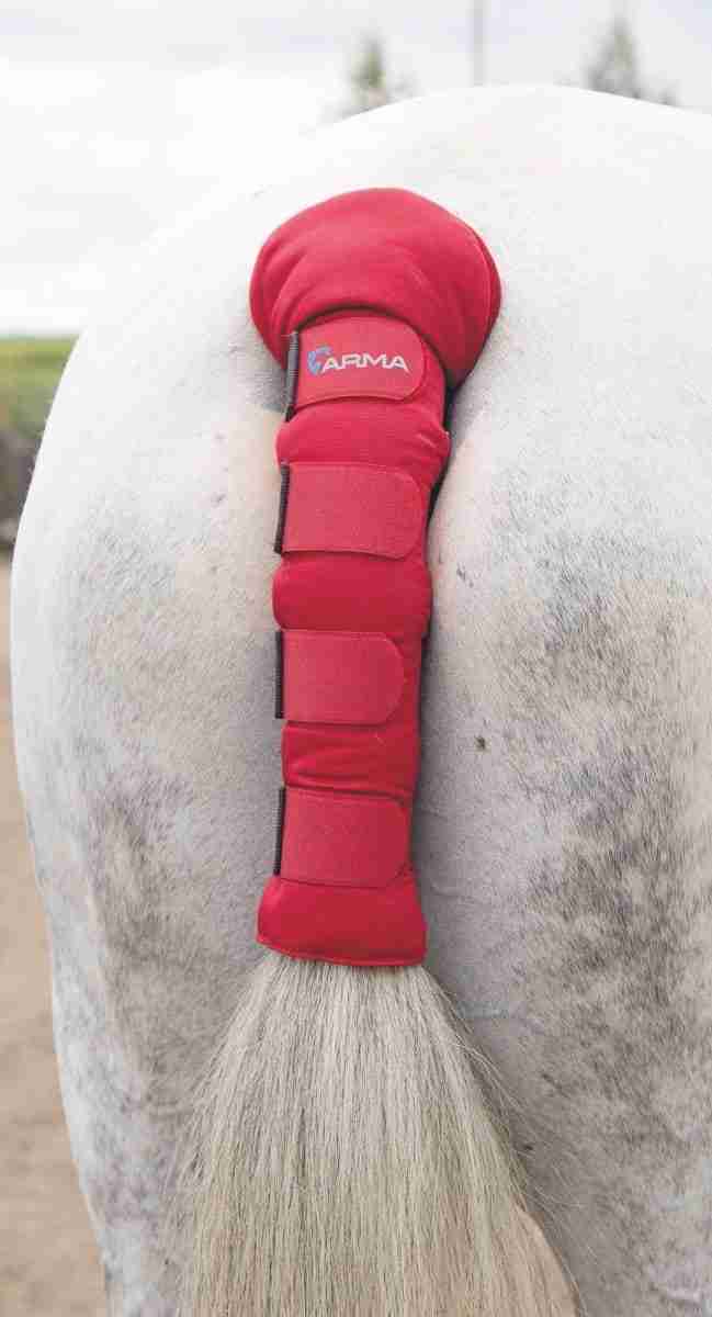 Padded Tail Guard