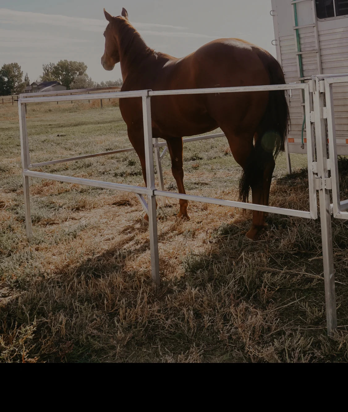 Aluminum Equine Travel Panels-PREORDER