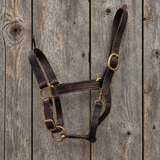 Leather Halter- Full