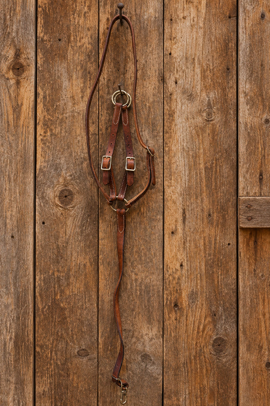 Western Running Martingale