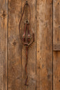 Western Running Martingale