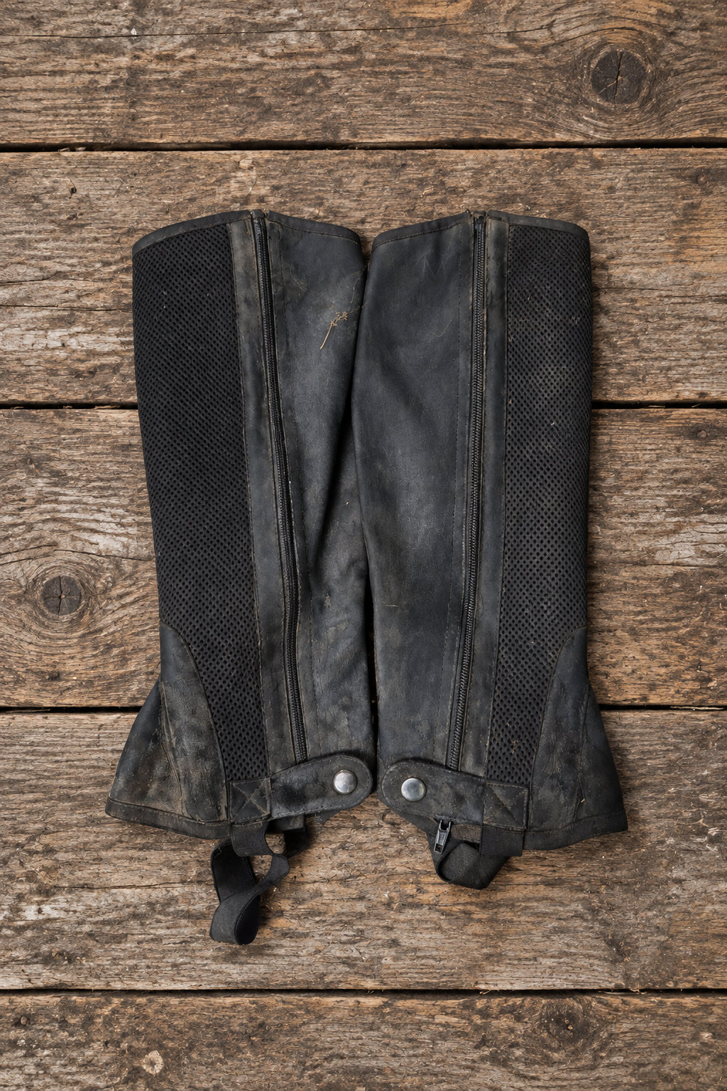Mondega Half Chaps- Large