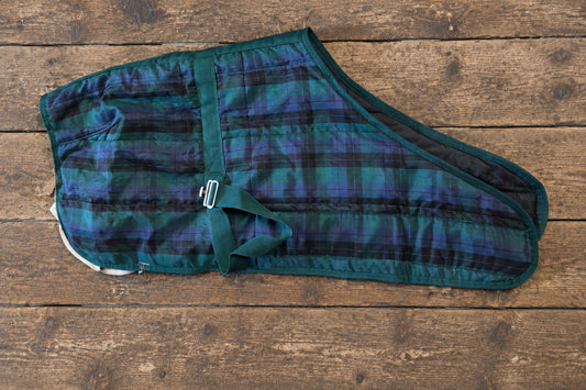Adjustable Foal Blanket