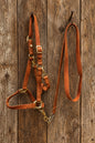 Biothane Halter w/Lead