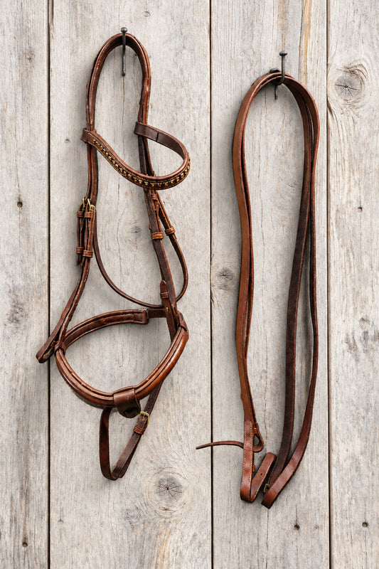 Dressage Bridle w/Reins- Full
