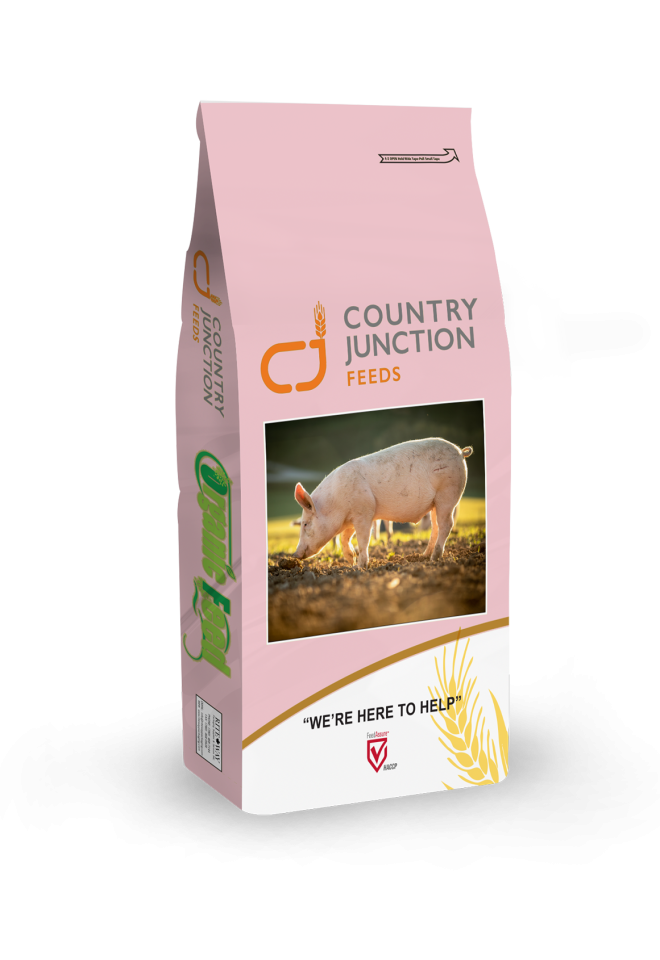 Country Junction Ultimate Pig Starter