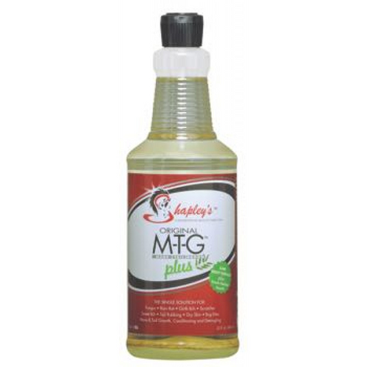 Shapley's MTG Plus