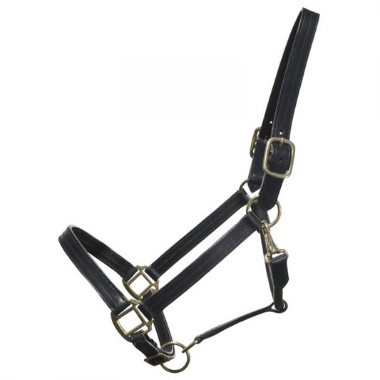 Leather Halter-XL