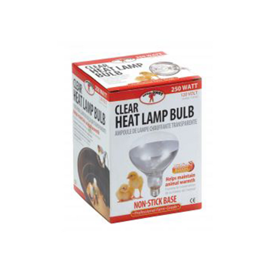 White Heat Bulb