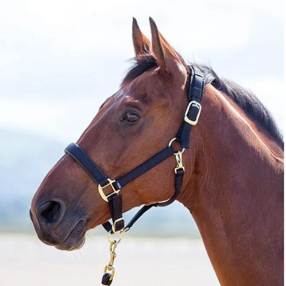 Licol de sécurité en nylon Topaz Shires pour poney
