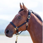 Topaz Nylon Breakaway Halter- Cob