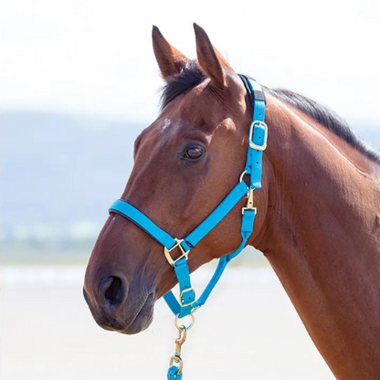 Licol de sécurité en nylon Topaz Shires pour poney