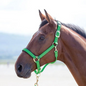 Haut de lit Topaz Nylon Breakaway Halter - Complet