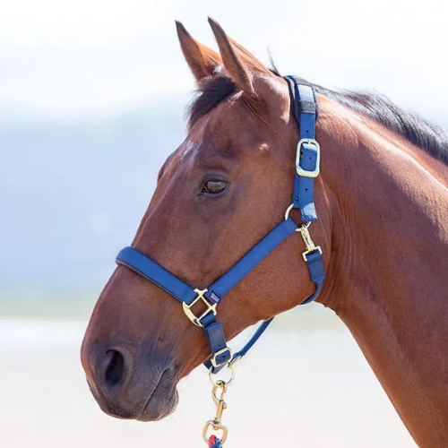 Topaz Nylon Breakaway Halter- Full