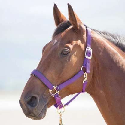 Licol de sécurité en nylon Topaz Shires pour poney