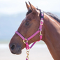 Topaz Nylon Breakaway Halter- Full