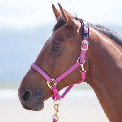 Topaz Nylon Breakaway Halter- Cob