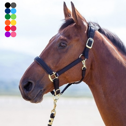 Topaz Nylon Breakaway Halter- Cob
