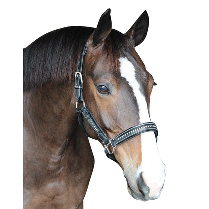 Henri De Rivel Padded Crystal Leather Halter