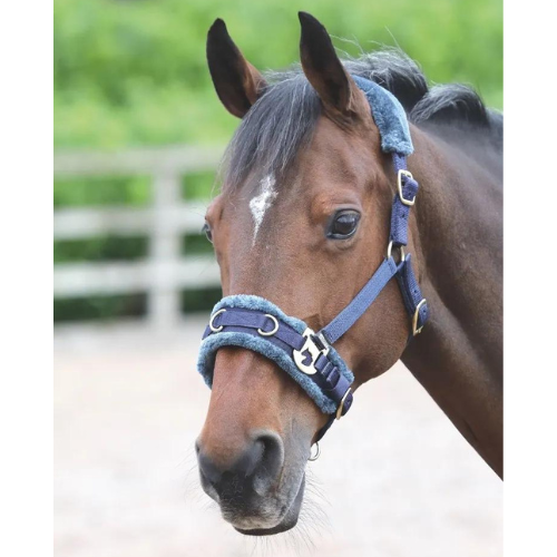 Shires Fleece Lined Lunge Cavesson