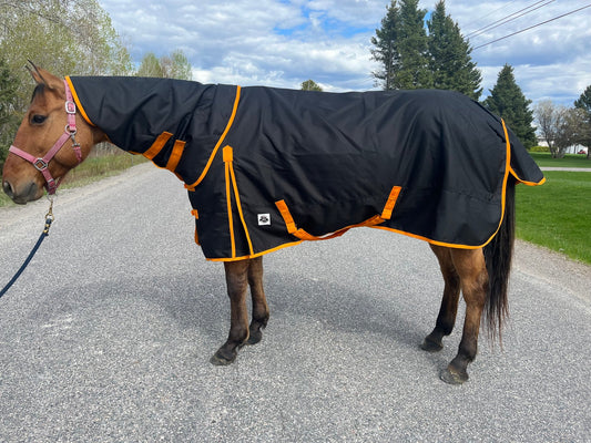 Black & Orange w/Hood 100g