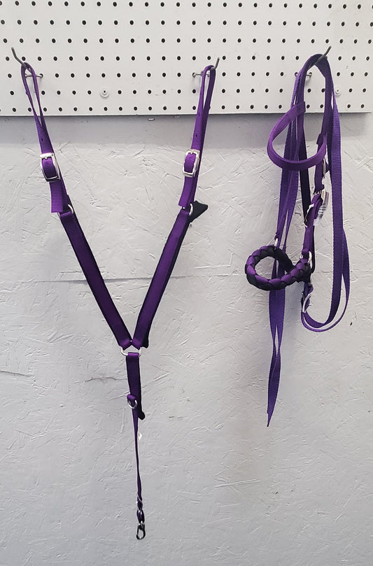 Mini Tack Set