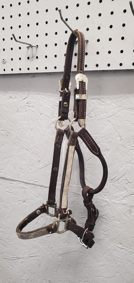 Show Halter