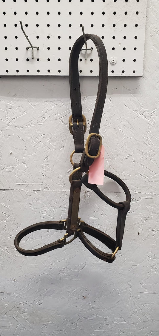 Leather Halter