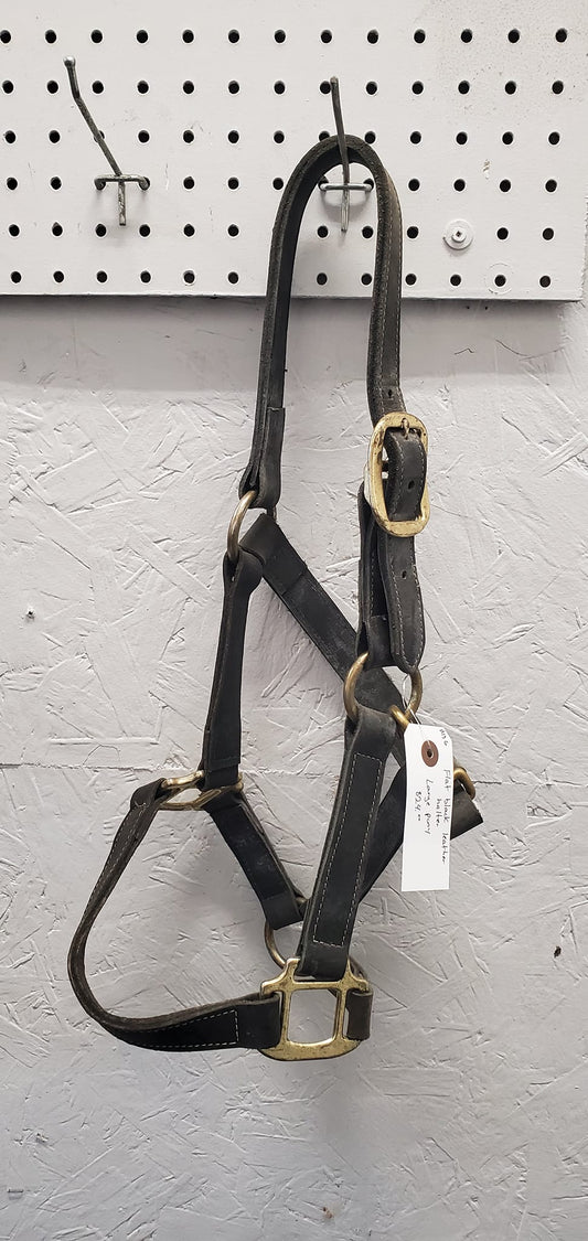 Leather Halter-Cob