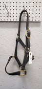 Leather Halter-Cob