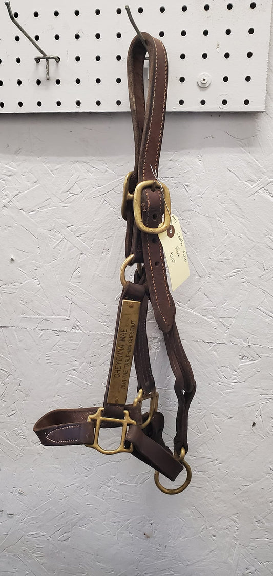 Leather Halter