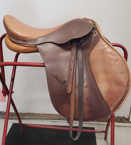 17" Avante Close Contact
