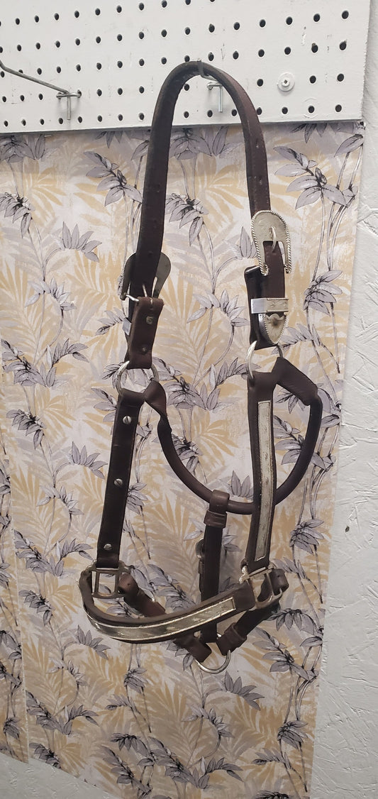 Show Halter