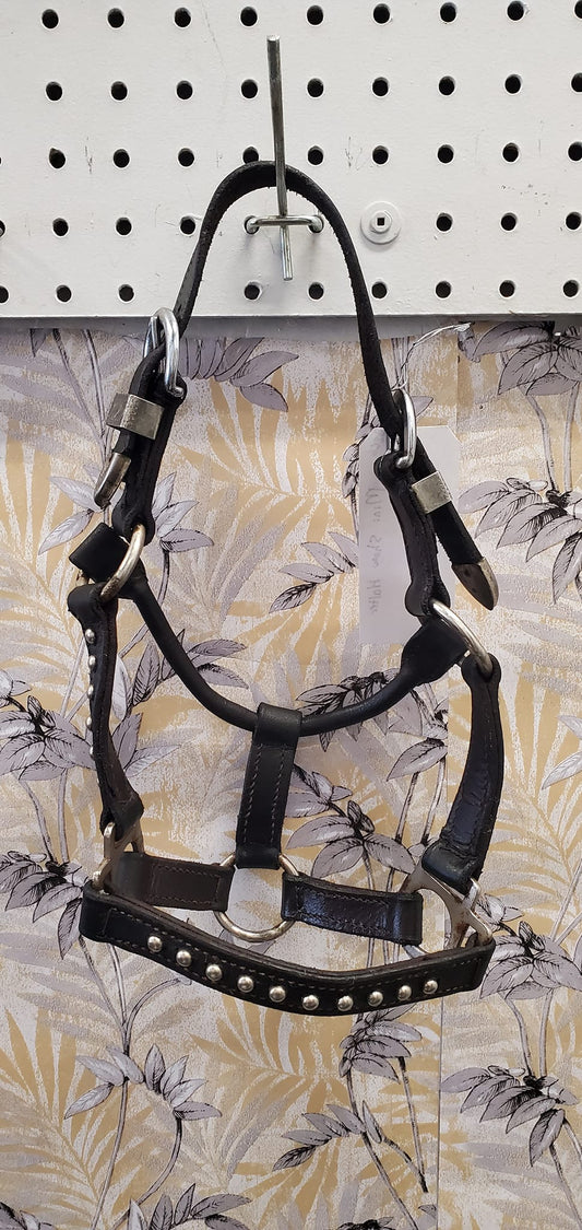 Show Halter