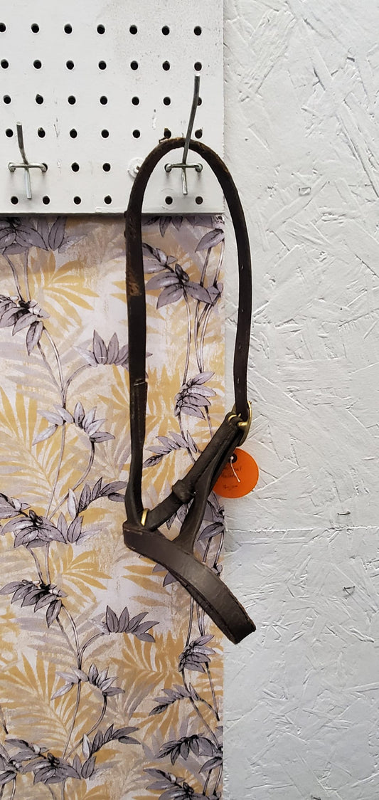 Foal Slip Halter
