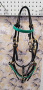 The Distance Depot Biothane Trail/Halter Combo Bridle