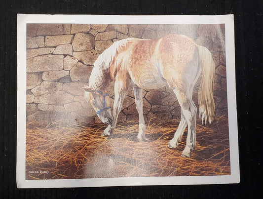 Chuck Burns Horse Print